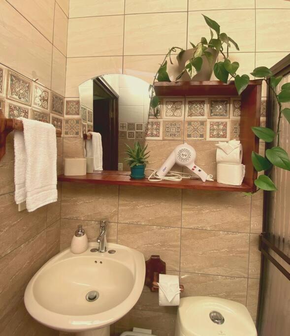 Peace Garden Apartment Monteverde Εξωτερικό φωτογραφία