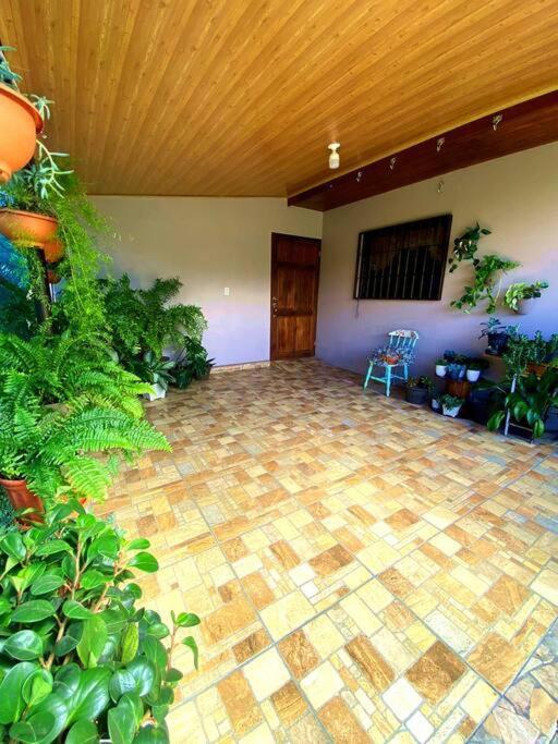 Peace Garden Apartment Monteverde Εξωτερικό φωτογραφία