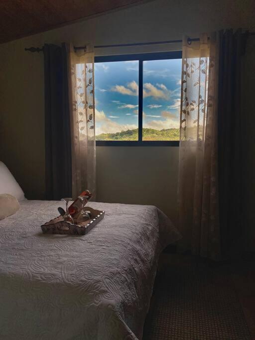 Peace Garden Apartment Monteverde Εξωτερικό φωτογραφία