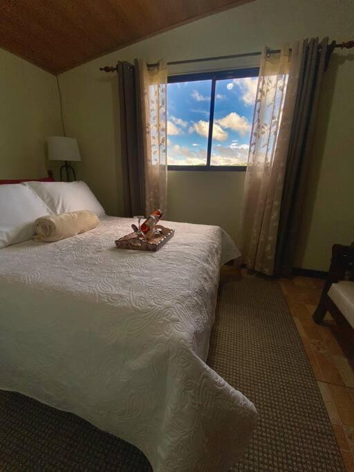 Peace Garden Apartment Monteverde Εξωτερικό φωτογραφία