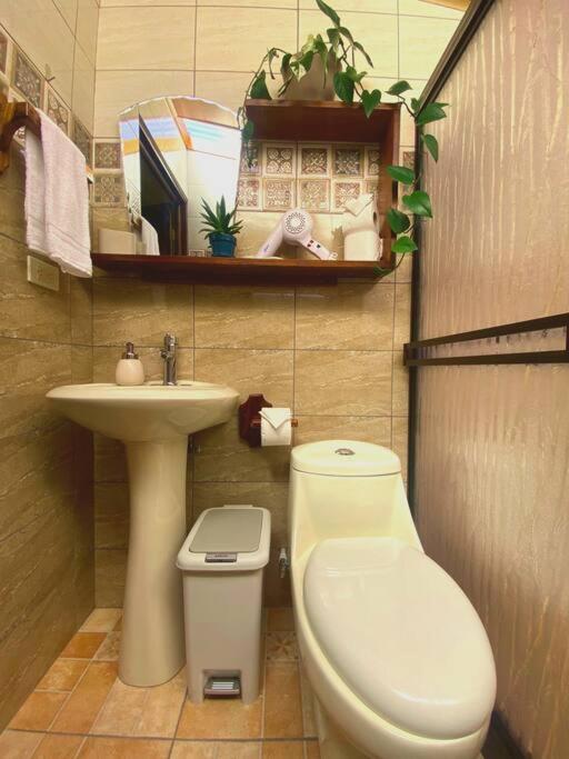 Peace Garden Apartment Monteverde Εξωτερικό φωτογραφία