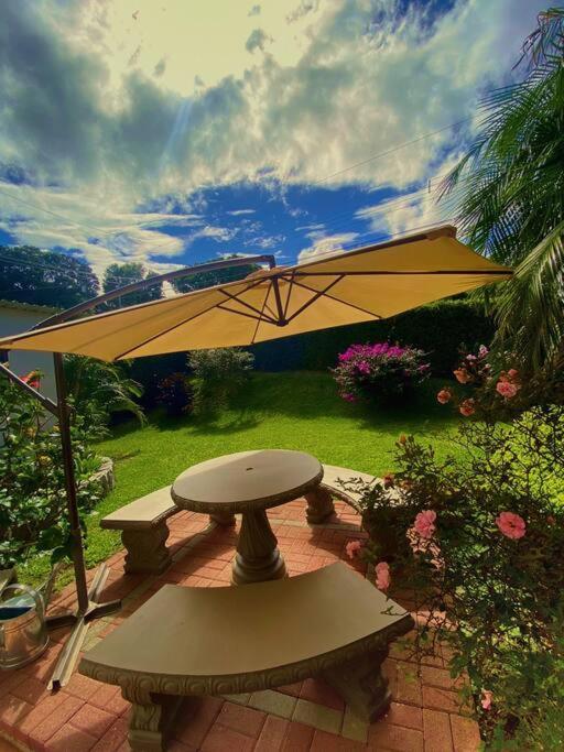 Peace Garden Apartment Monteverde Εξωτερικό φωτογραφία