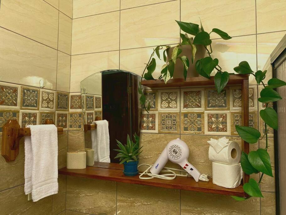 Peace Garden Apartment Monteverde Εξωτερικό φωτογραφία