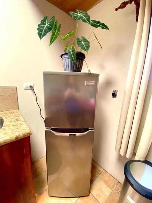 Peace Garden Apartment Monteverde Εξωτερικό φωτογραφία