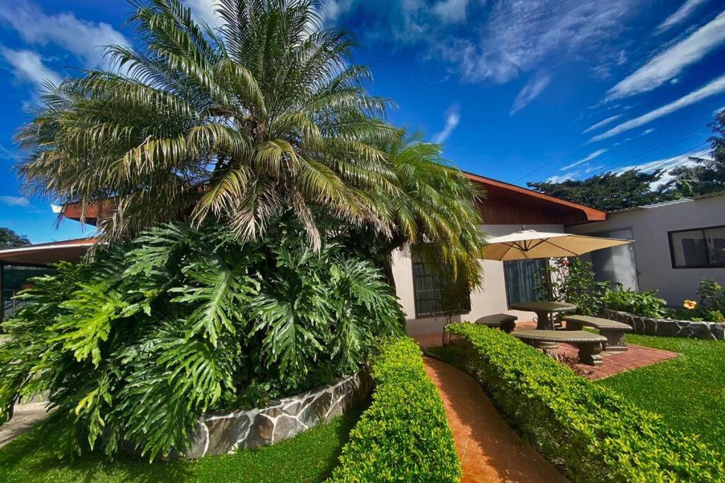 Peace Garden Apartment Monteverde Εξωτερικό φωτογραφία